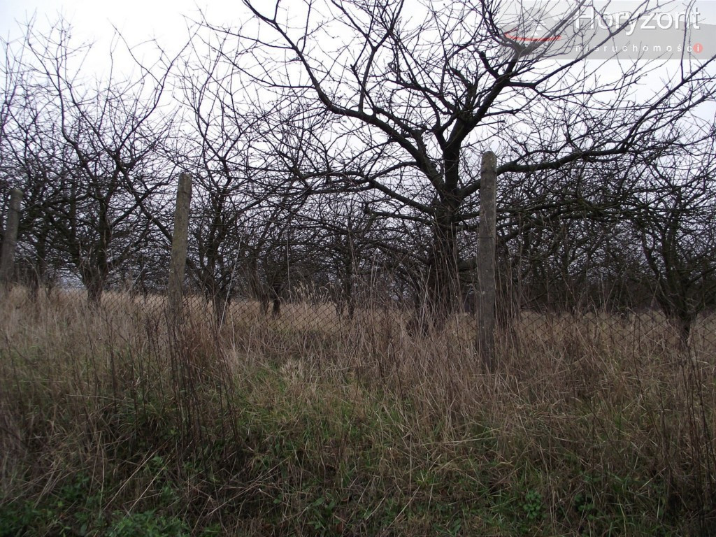 Działka Sprzedaż Stobno