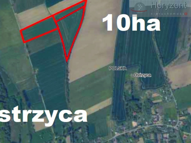 Działka Sprzedaż Ostrzyca