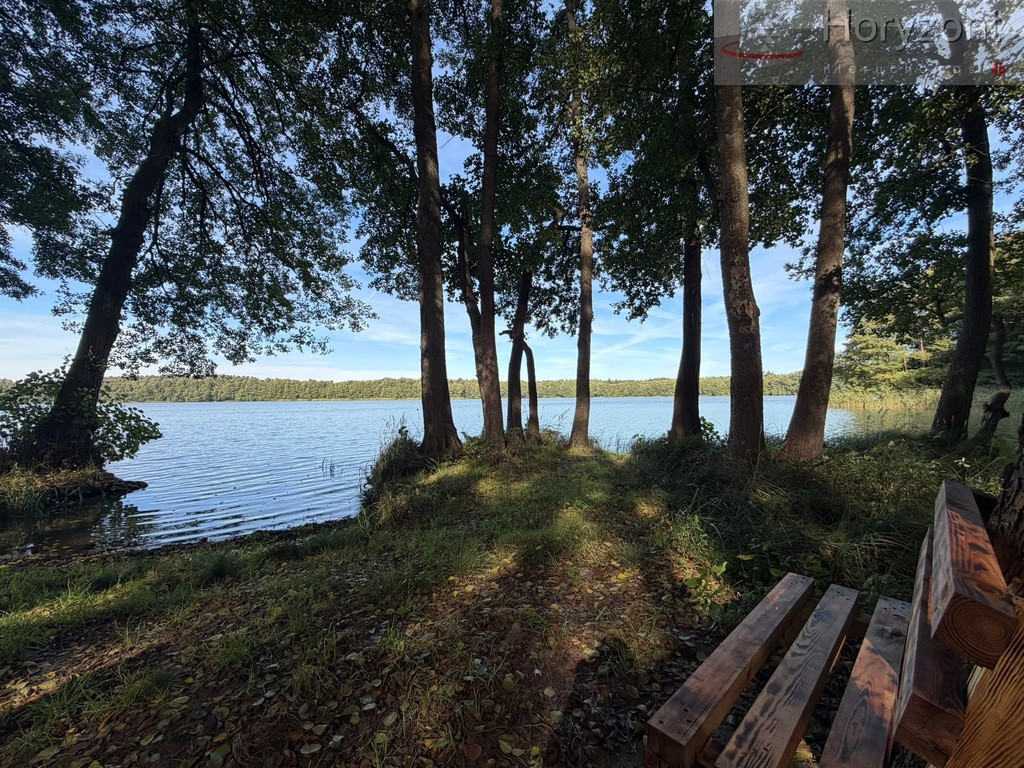 Działka Sprzedaż Myślibórz Wielki