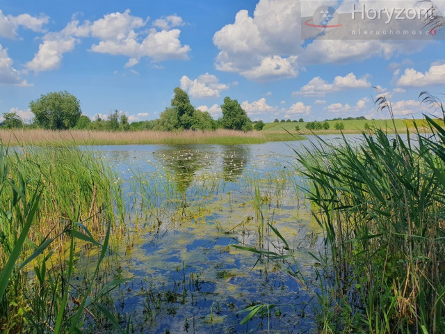 Działka Sprzedaż Zieleniewo