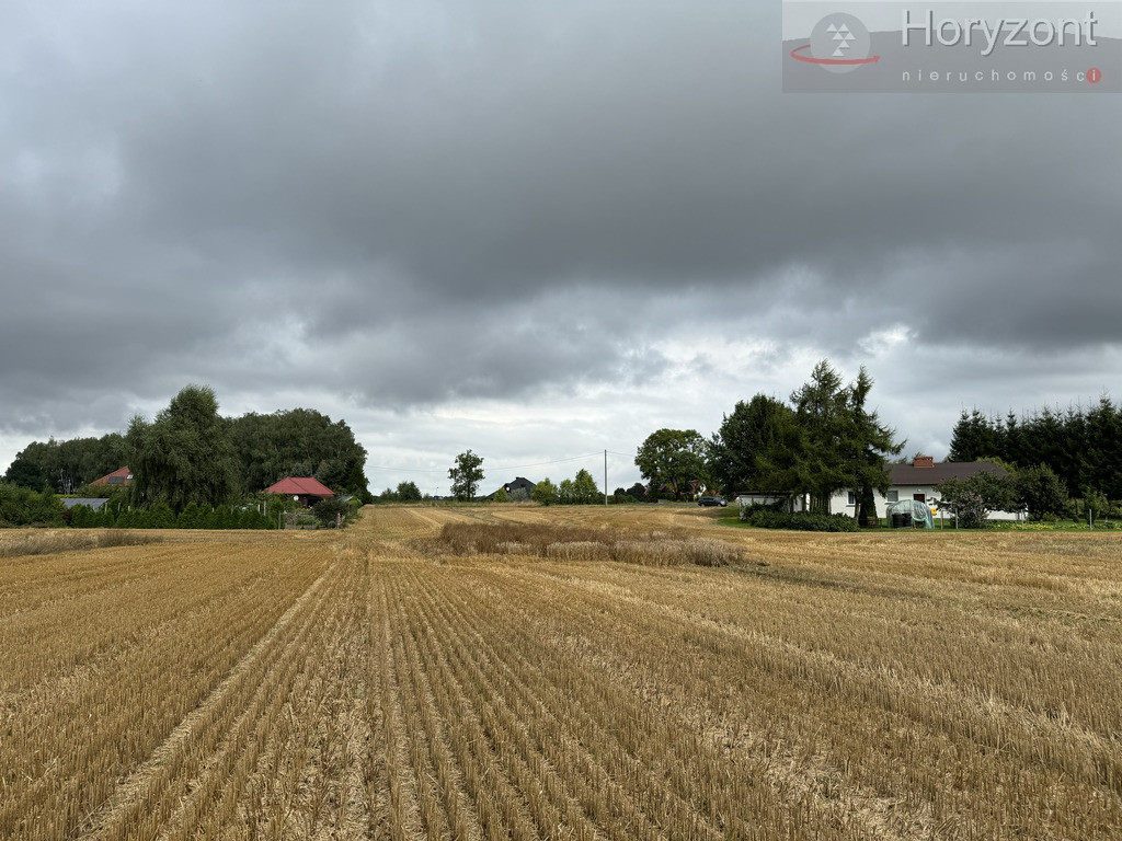 Działka Sprzedaż Kolonia Maszewo