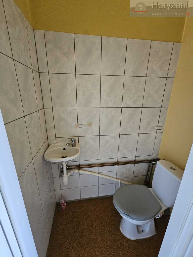 Lokal Wynajem Szczecin Centrum