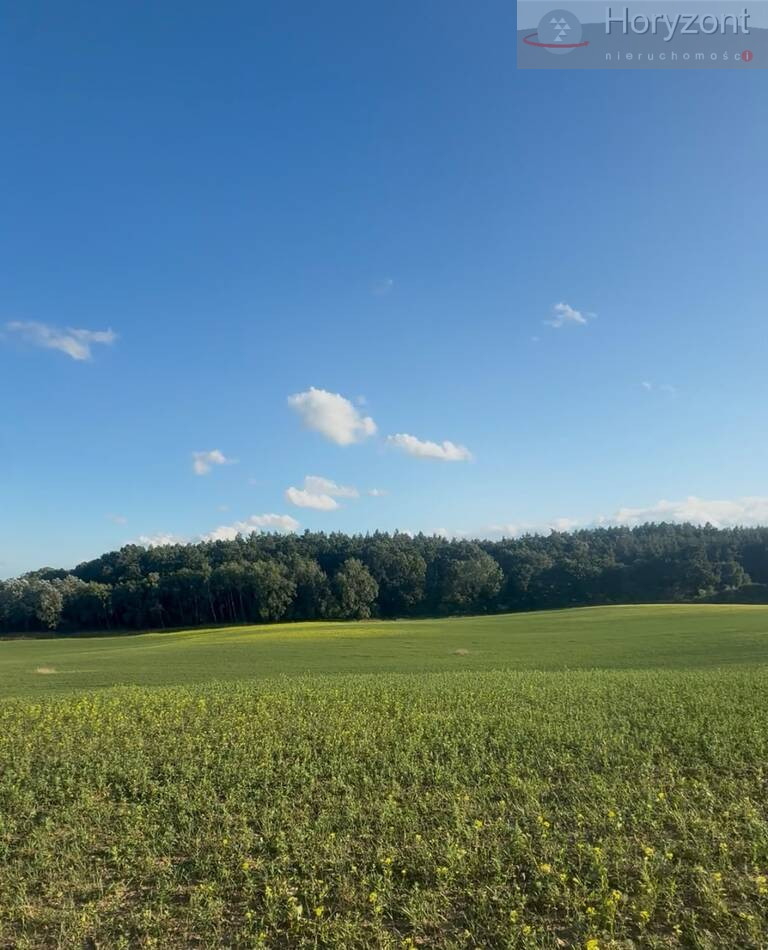 Działka Sprzedaż Buk