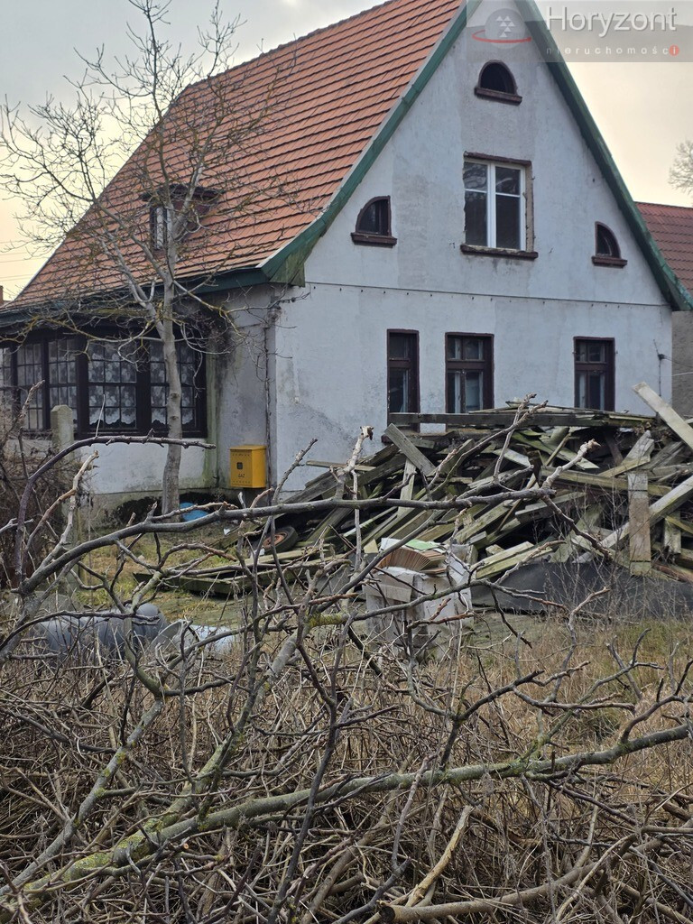 Dom Sprzedaż Trzebież Leśna