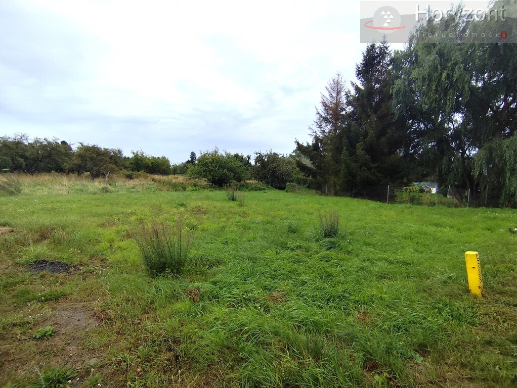 Działka Sprzedaż Stepniczka