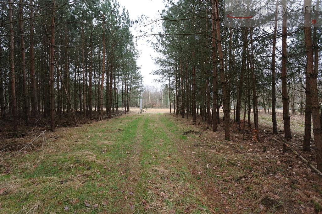 Działka Sprzedaż Krzywice