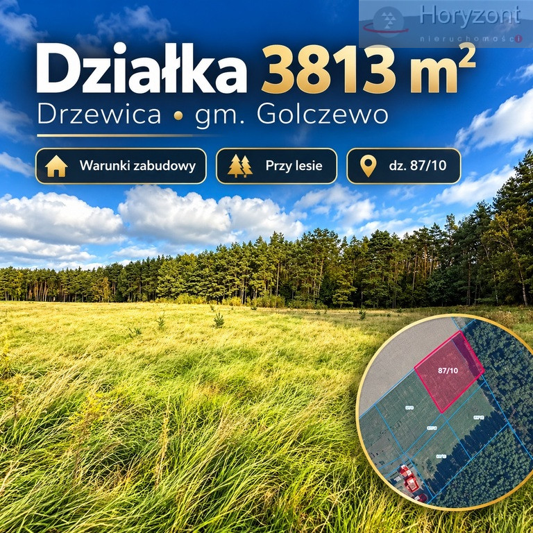 Działka Sprzedaż Drzewica