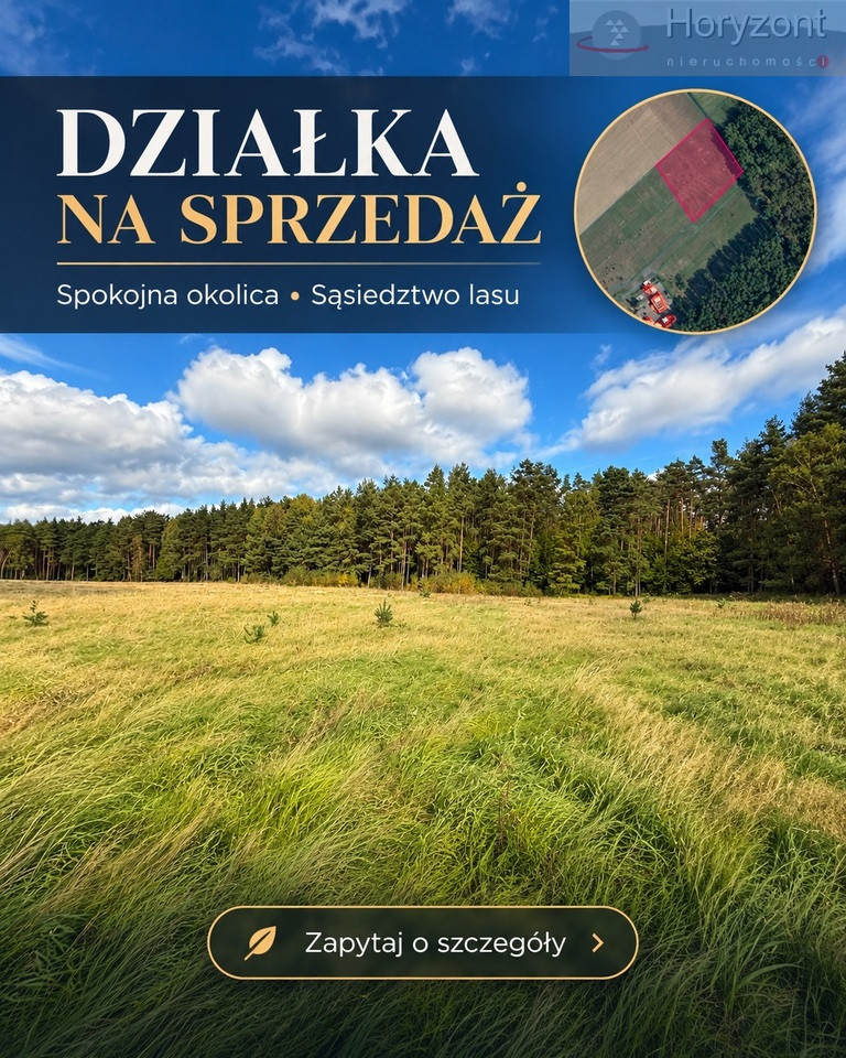 Działka Sprzedaż Drzewica