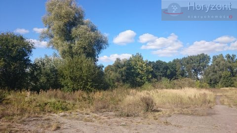 Działka Sprzedaż Radzanek