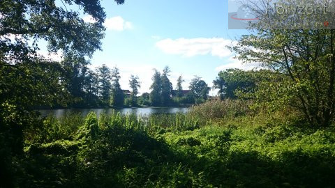Działka Sprzedaż Radzanek