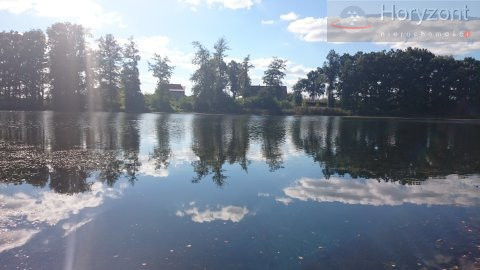 Działka Sprzedaż Radzanek