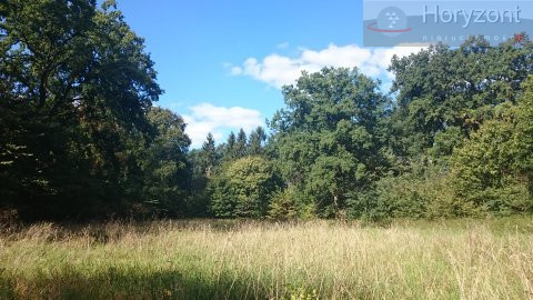 Działka Sprzedaż Radzanek