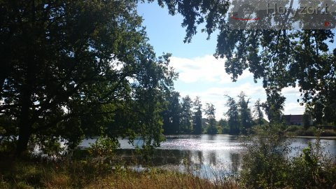 Działka Sprzedaż Radzanek