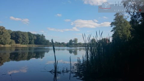 Działka Sprzedaż Radzanek