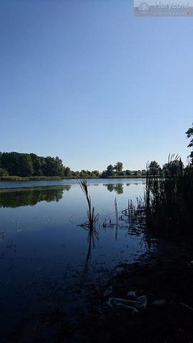 Działka Sprzedaż Radzanek