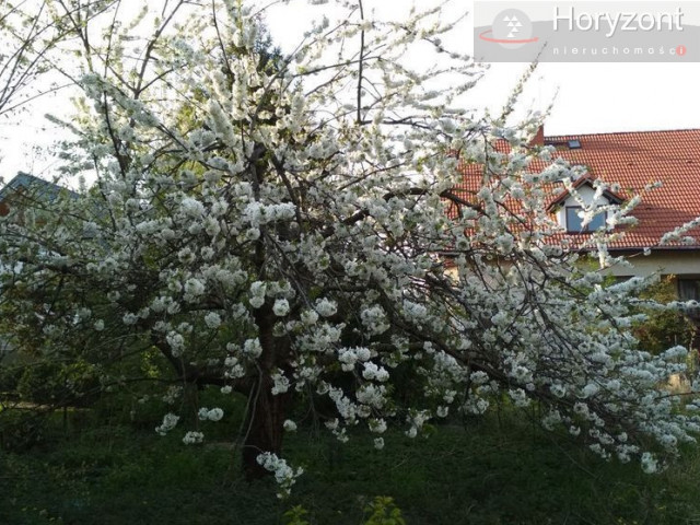 Działka Sprzedaż Szczecin Pogodno