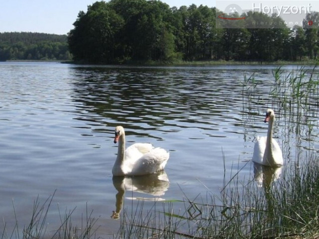 Przybiernów - działka rolna przy jeziorze