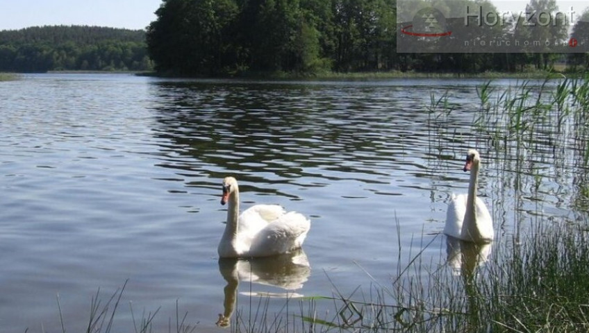 Działka Sprzedaż Zabierzewo