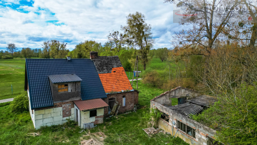 Działka Sprzedaż Skoszewo