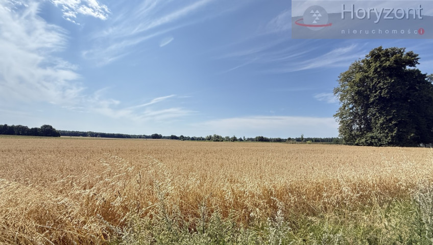 Działka Sprzedaż Oświno