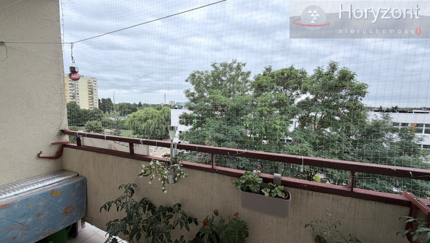 Mieszkanie Sprzedaż Szczecin Świerczewo Jodłowa