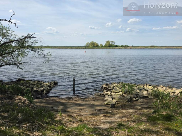 Widuchowa, działka 3000 m2 z widokiem na Odrę !