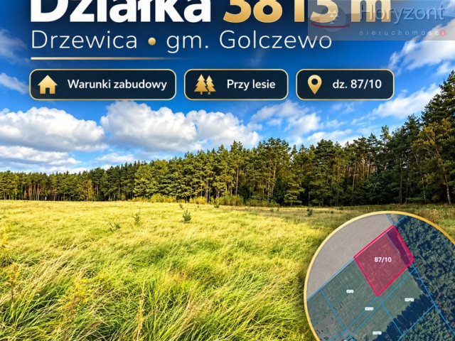 Działka Sprzedaż - Drzewica