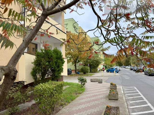 Rozkładowe mieszkanie 2 pokojowe na parterze