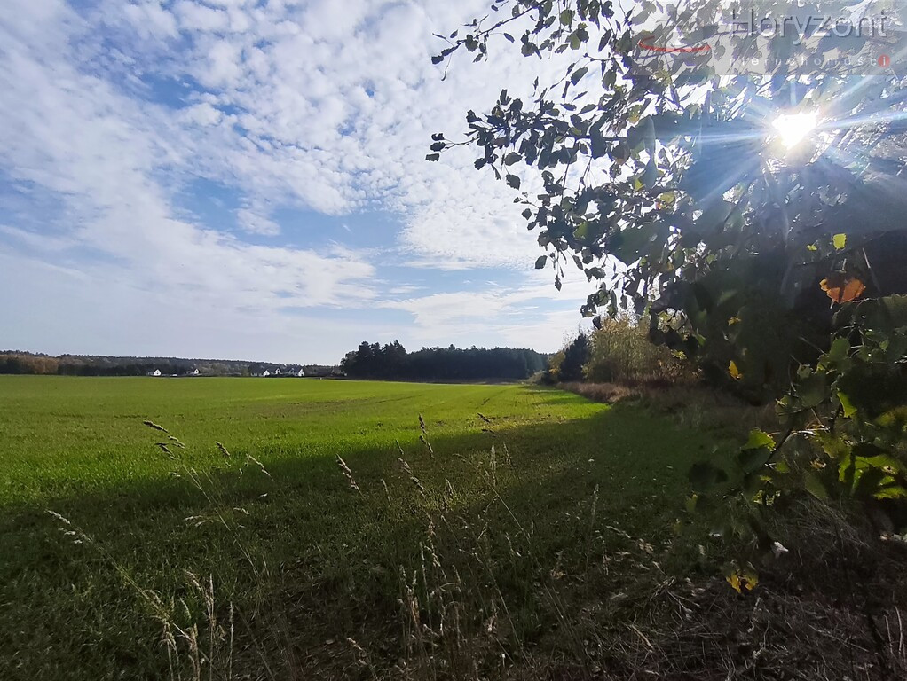 Działka Sprzedaż Grabowo
