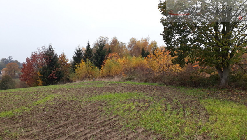 Działka Sprzedaż Danowo